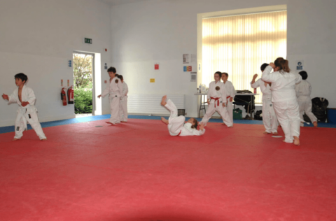 Nigel Copping Community Building - Judo